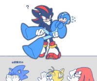 ソニック×ロックマン5